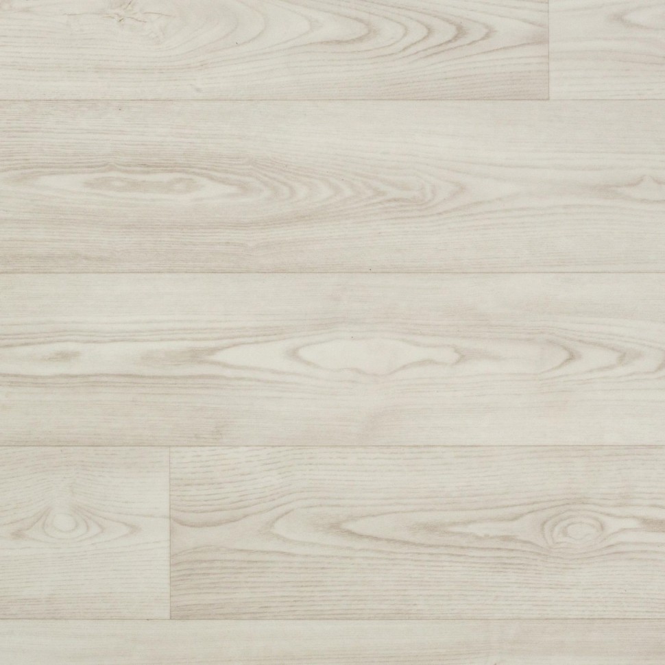 Линолеум Tarkett Phylosophy BELMOND 5 фото 1 &mdash; ПетроПол