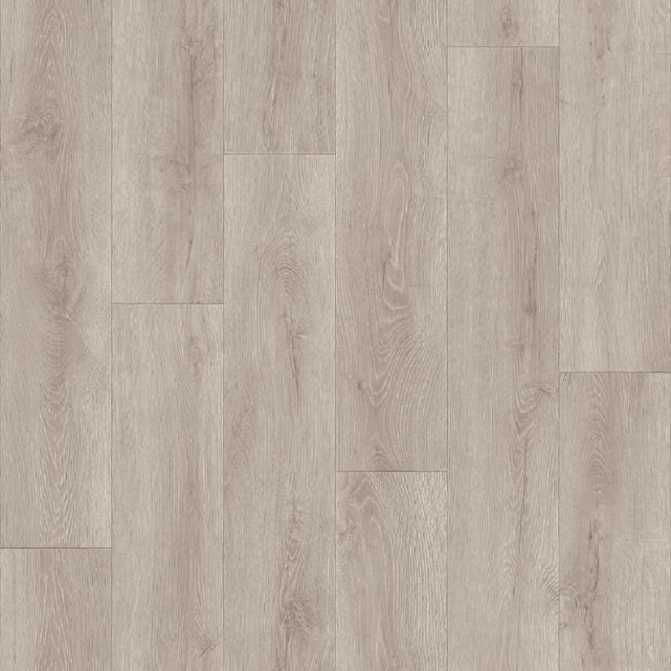 Линолеум Tarkett Gladiator Formosa 2 фото 1 &mdash; ПетроПол