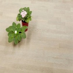 Паркетная доска Karelia Дуб Select Shadow Grey &mdash; ПетроПол