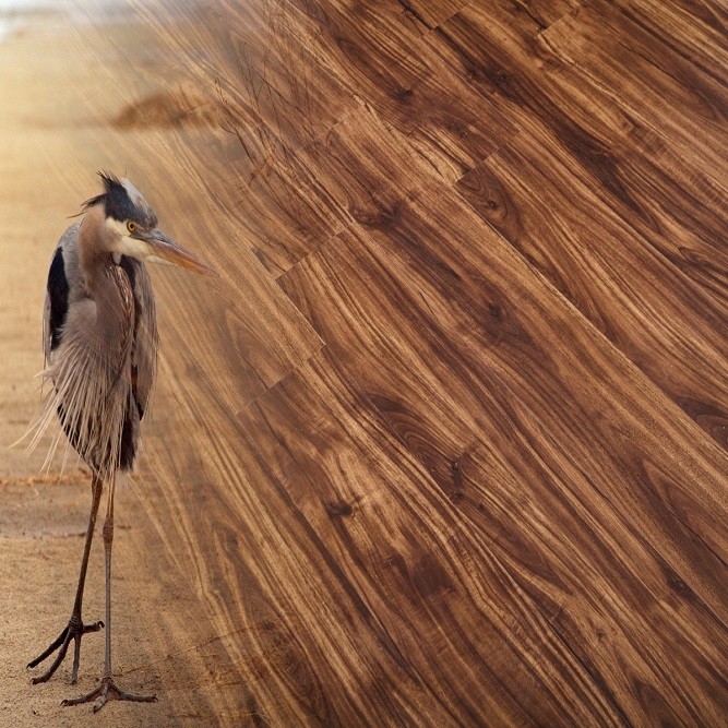 Инженерная Виниловая Доска Natura Орех Фране фото 1 &mdash; ПетроПол