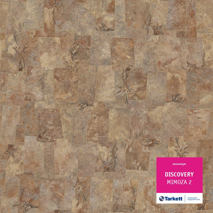Линолеум Tarkett Discovery Мимоза 2 фото 1 &mdash; ПетроПол