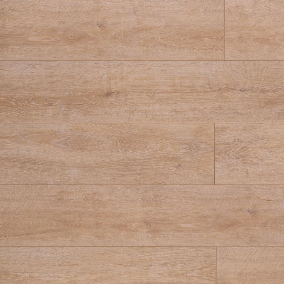 Ламинат Belfloor Universal 12  BF12-708-UN фото 1 &mdash; ПетроПол