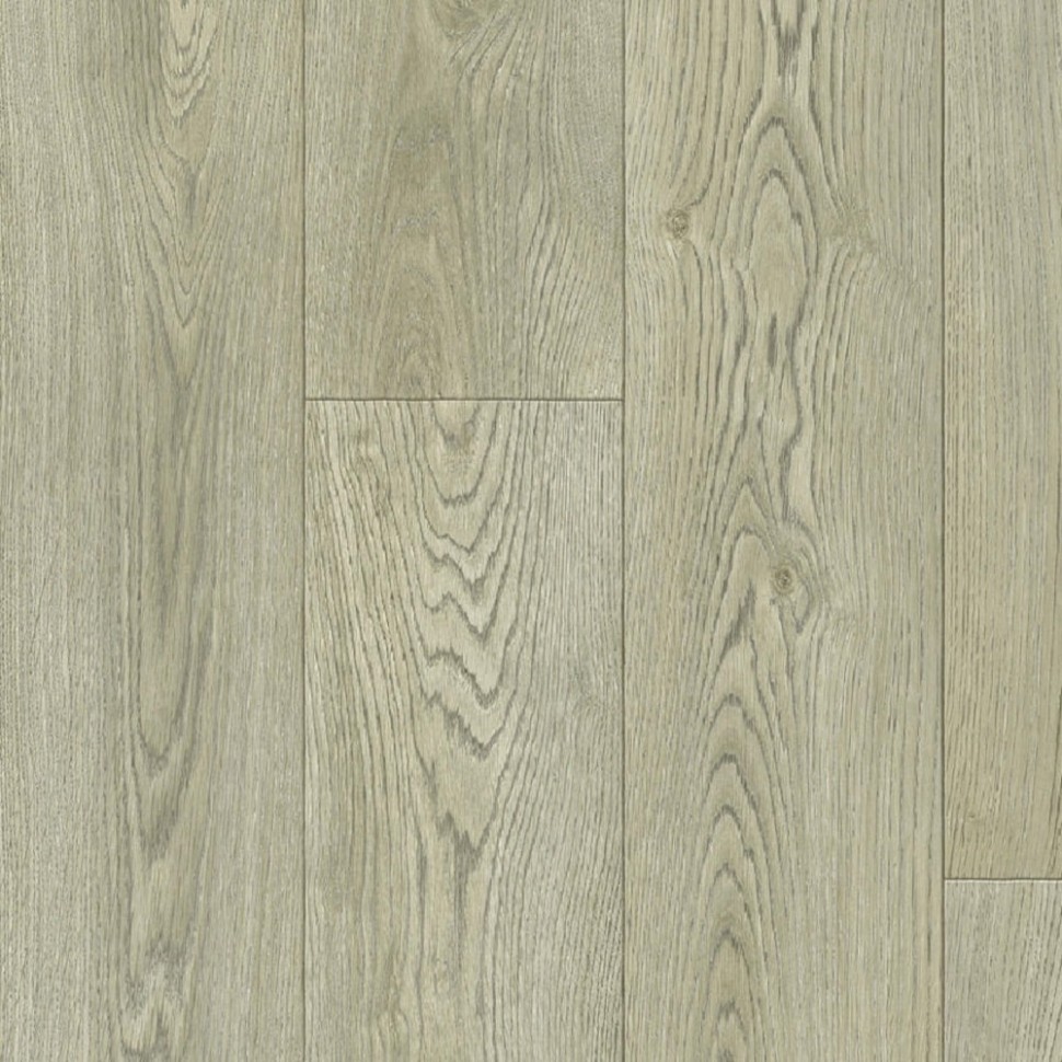 Линолеум Tarkett Бонус Nero 2 фото 1 &mdash; ПетроПол