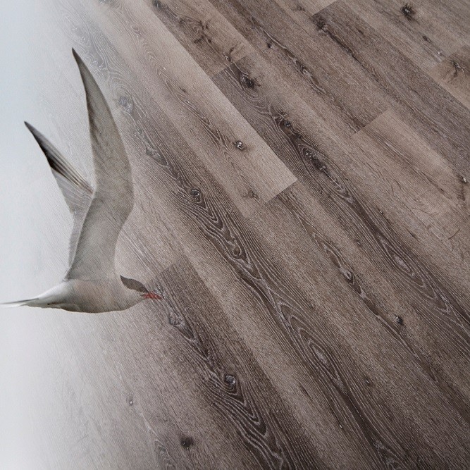 Инженерная Виниловая Доска Natura Дуб Валлон фото 1 &mdash; ПетроПол