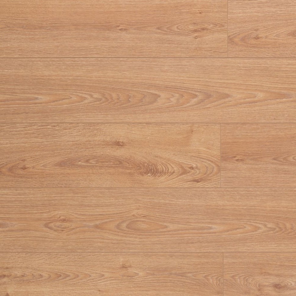 Ламинат Belfloor Universal 12  BF12-725-UN фото 1 &mdash; ПетроПол