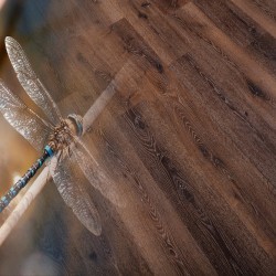 Инженерная Виниловая Доска Natura Дуб Брабант &mdash; ПетроПол