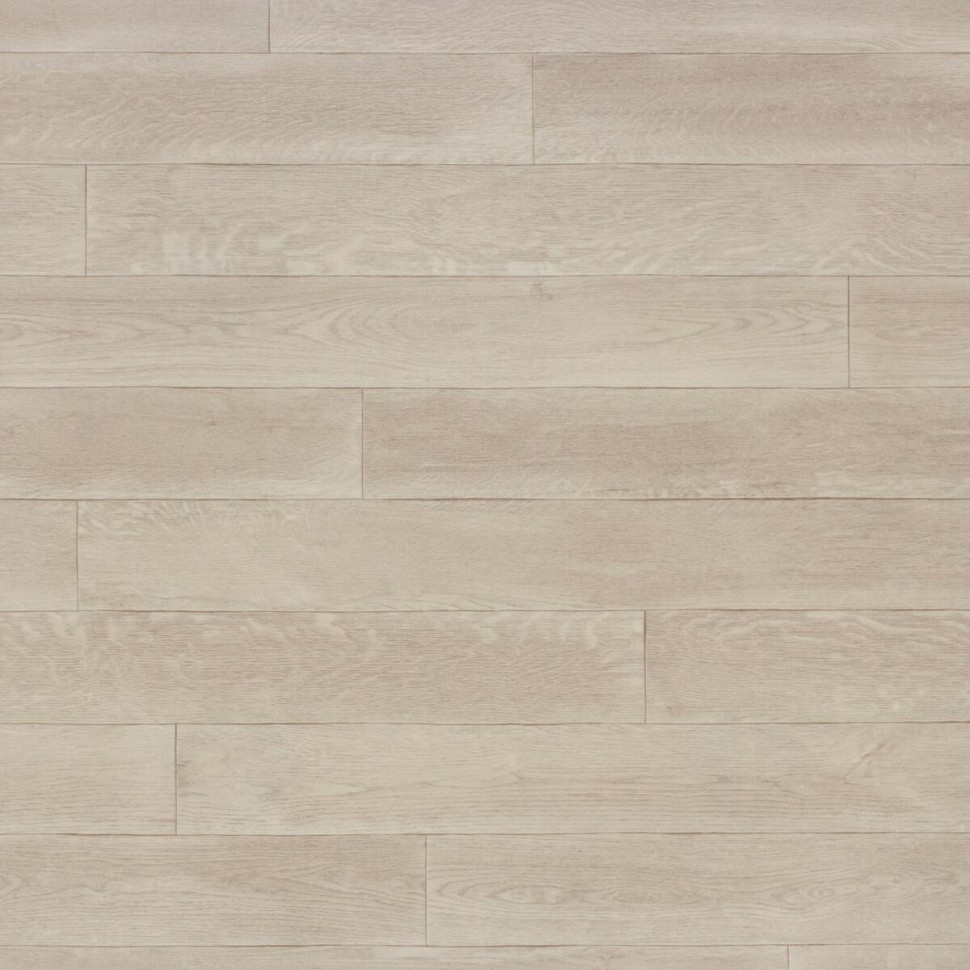 Линолеум Tarkett Бонус REPIN 2 фото 1 &mdash; ПетроПол