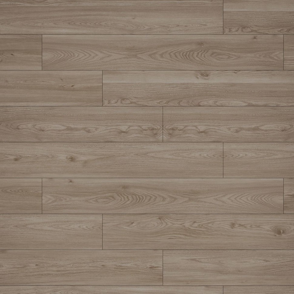 Ламинат Egger 12/33 EPL262 Вяз Никко Бежевый фото 1 &mdash; ПетроПол