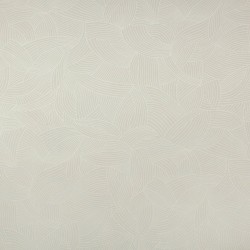 Линолеум Tarkett Бонус AMOS 1 &mdash; ПетроПол