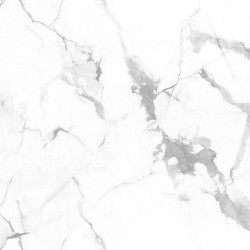 Керамогранит NTCeramic Marmo NTT99507P Callacata Endless (60х120 см) &mdash; ПетроПол