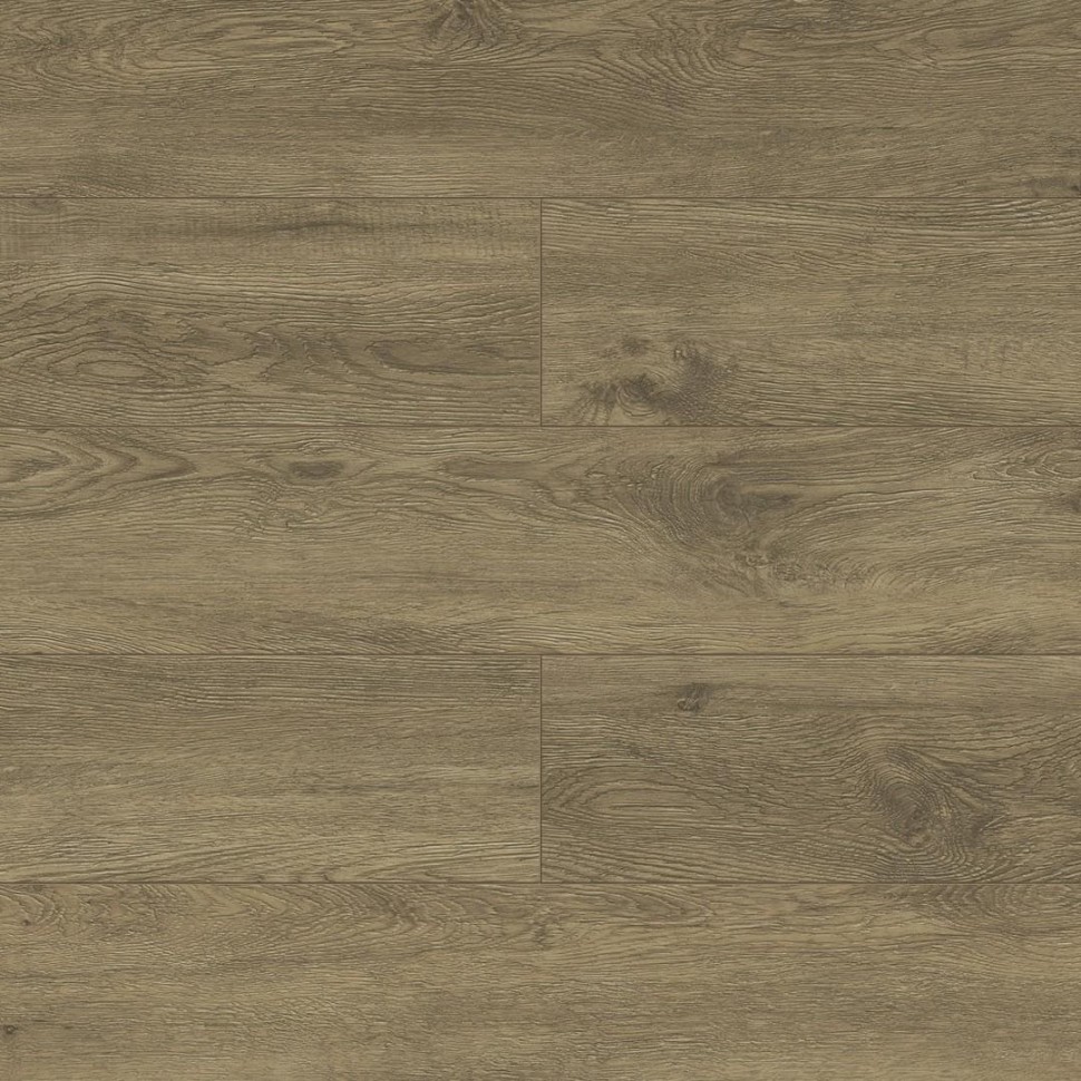SPC ламинат Alpine Floor Grand Sequoia ECO 11-11 Секвойя Маслина фото 1 &mdash; ПетроПол