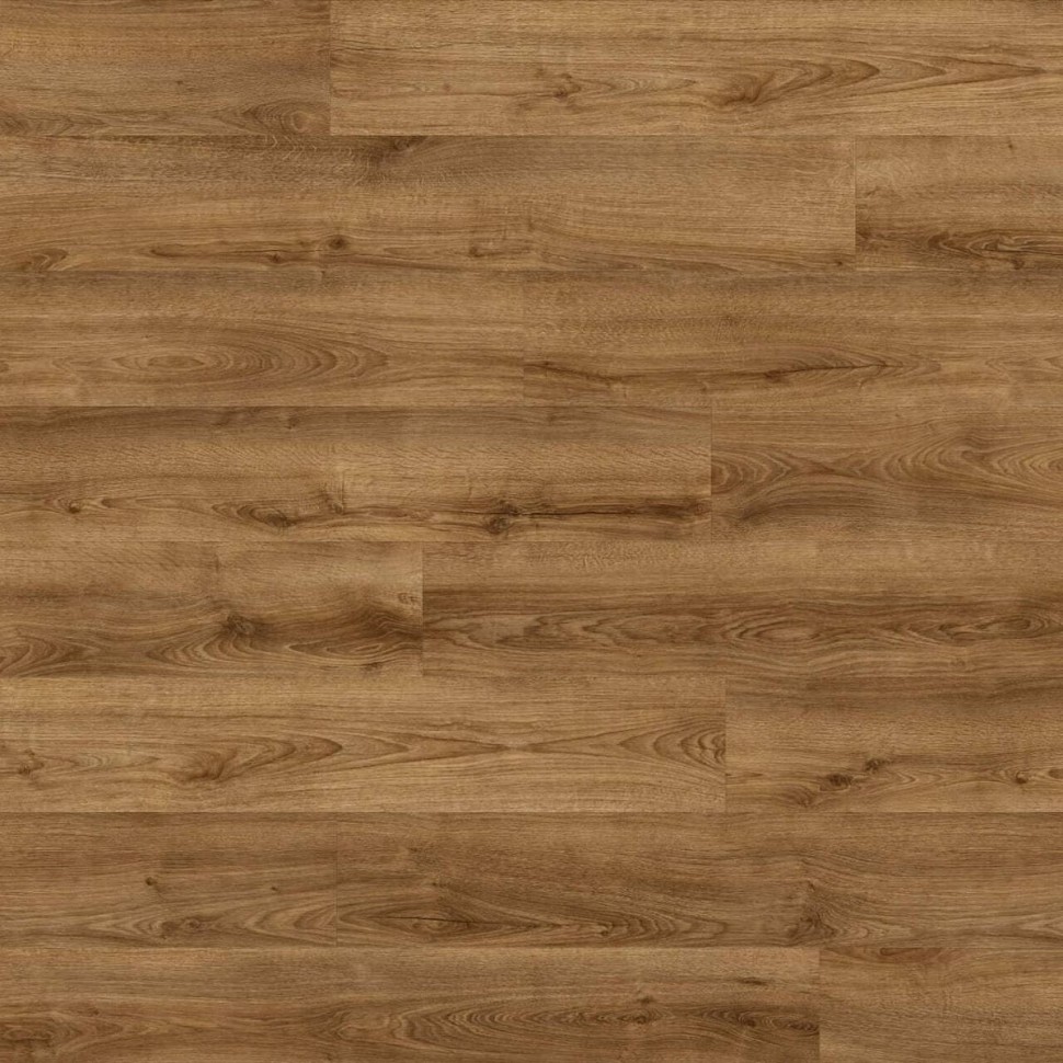 Виниловый ламинат Moduleo Next  853 Shelby Oak фото 1 &mdash; ПетроПол