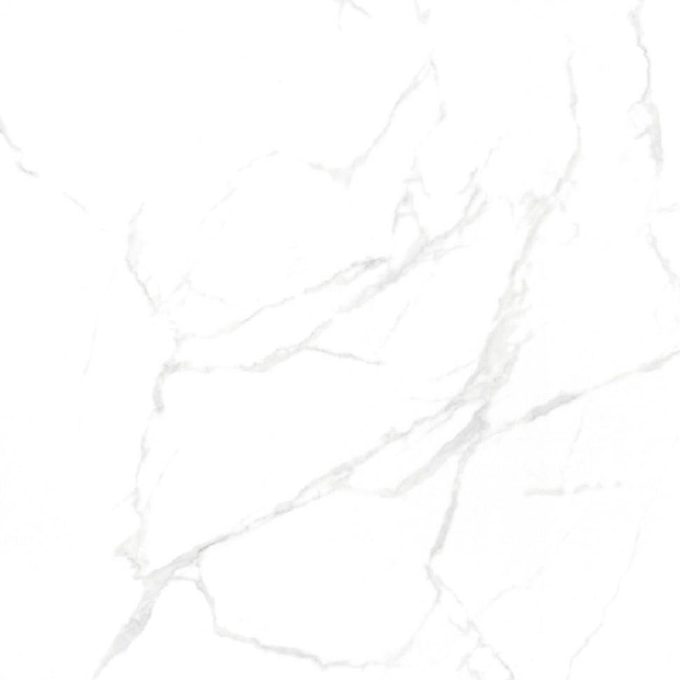 Керамогранит NTCeramic Marmo NTT996070M Callacata carving (60х60 см) фото 1 &mdash; ПетроПол
