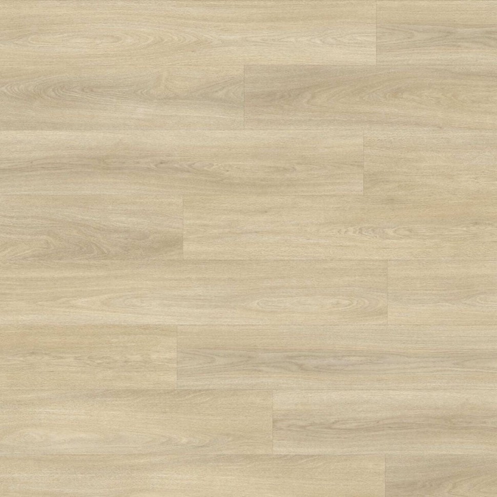 Виниловый ламинат Moduleo Next  246 Noble Oak фото 1 &mdash; ПетроПол