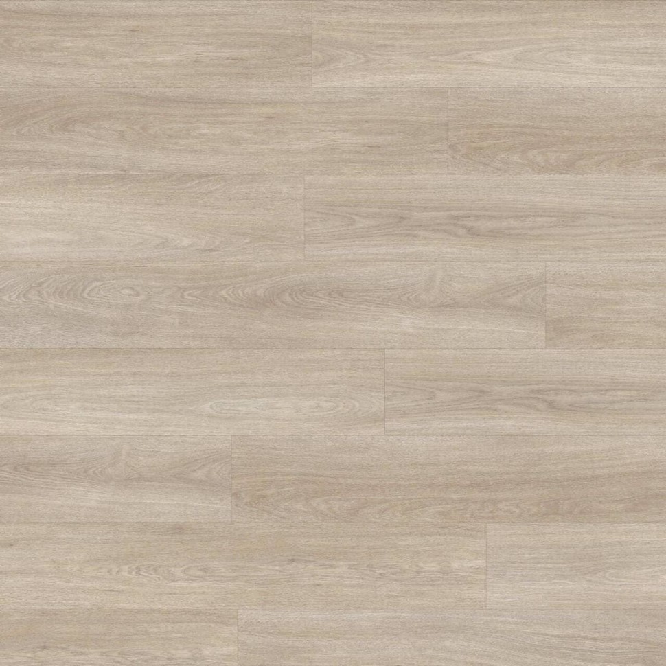 Виниловый ламинат Moduleo Next  236 Noble Oak фото 1 &mdash; ПетроПол