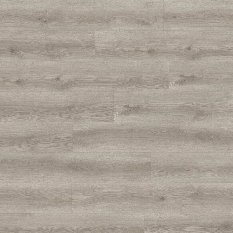 Виниловый ламинат Moduleo Next  294 Belver Oak фото 1 &mdash; ПетроПол