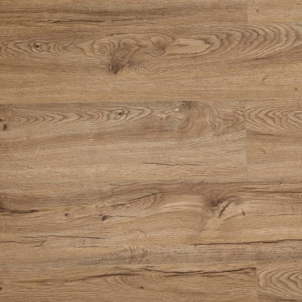 SPC ламинат Steinholz STH011 Розенбург фото 1 &mdash; ПетроПол