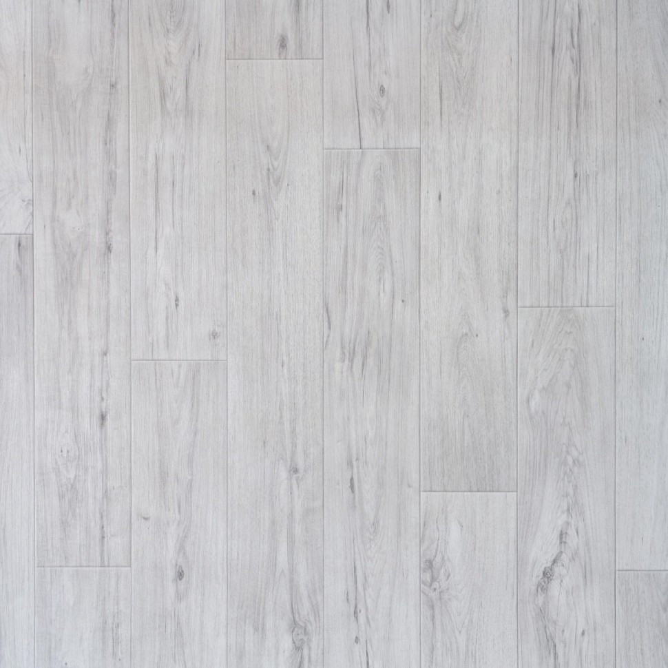 Линолеум Tarkett Комфорт Kadet 1 фото 1 &mdash; ПетроПол