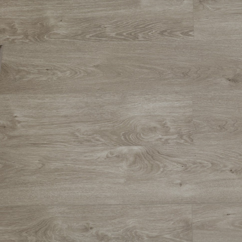 SPC ламинат Steinholz STH009 Моосхам фото 1 &mdash; ПетроПол