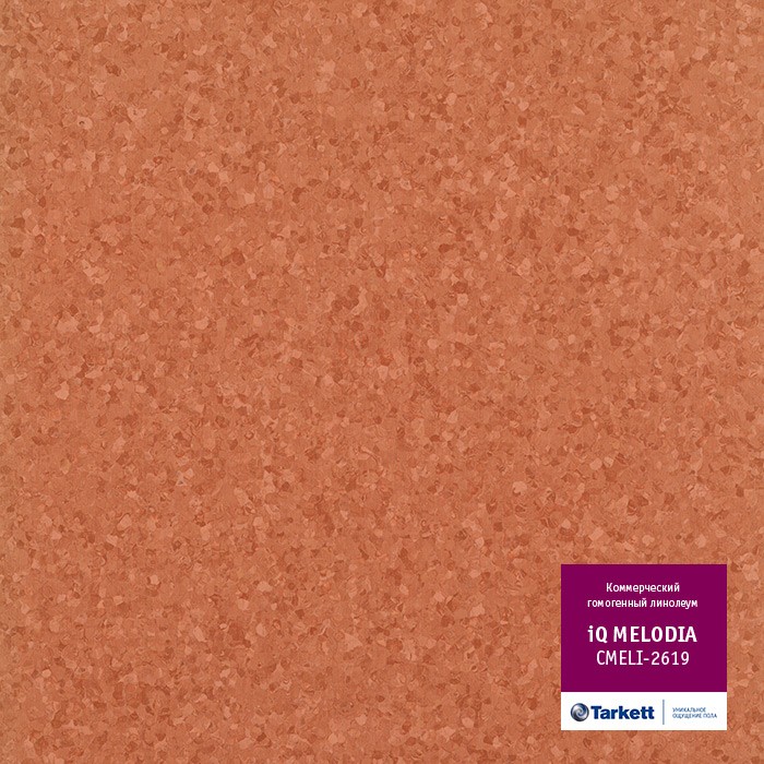 Линолеум Tarkett IQ Melodia Cmeli-2619 фото 1 &mdash; ПетроПол