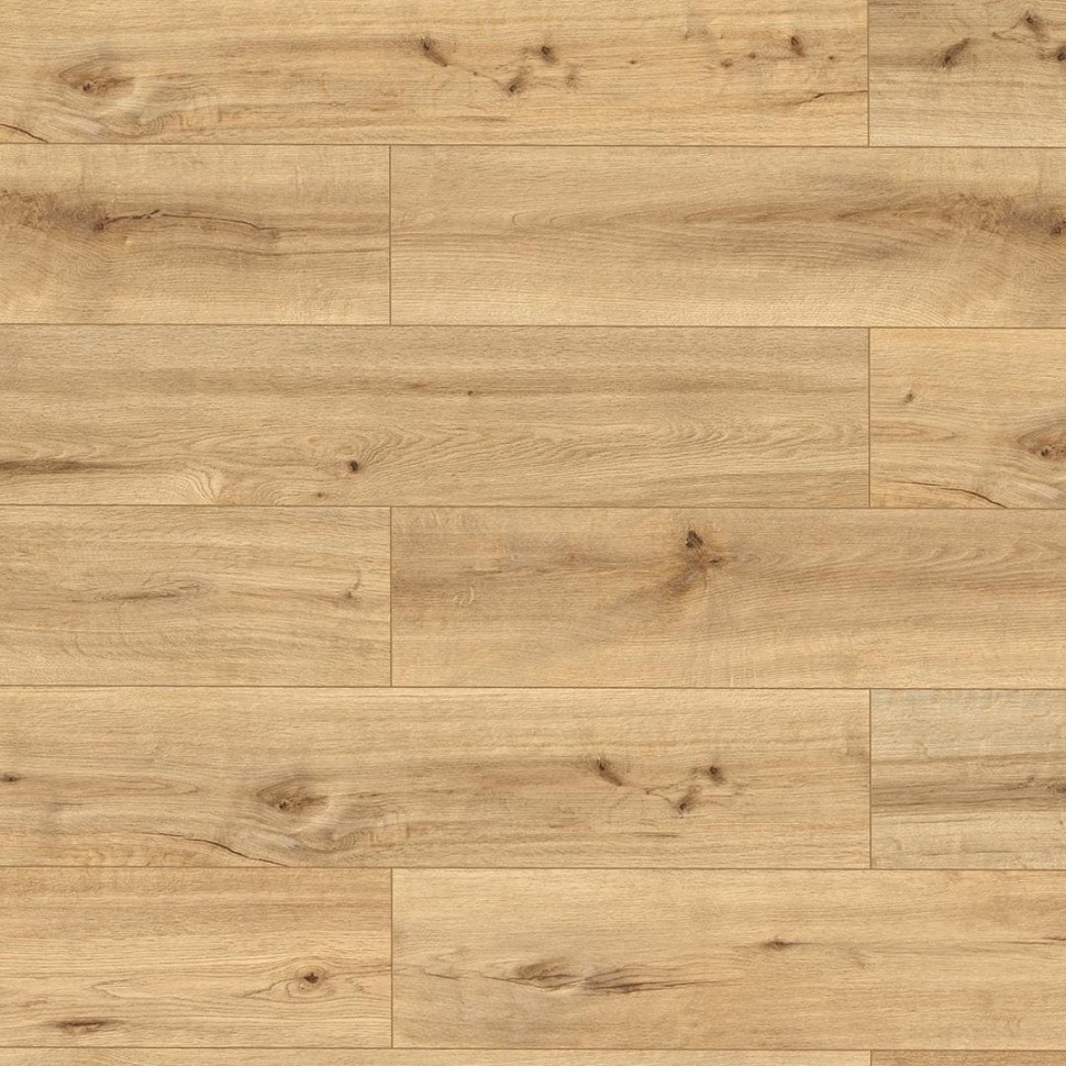 SPC ламинат Alpine Floor Pro Nature 62536 Мокоа фото 1 &mdash; ПетроПол