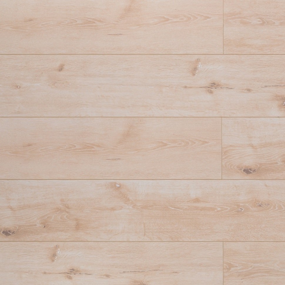 Ламинат Belfloor Universal 8 BF80-001-UN фото 1 &mdash; ПетроПол