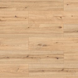 SPC ламинат Alpine Floor Pro Nature 62537 Барранкилья &mdash; ПетроПол