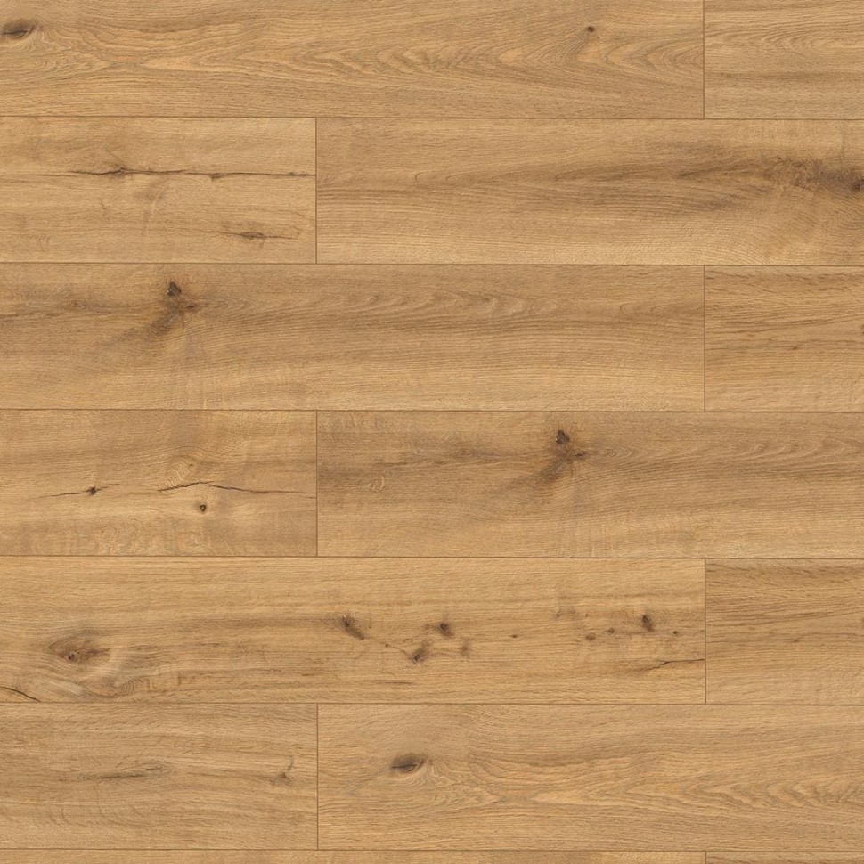 SPC ламинат Alpine Floor Pro Nature 62538 Соледад фото 1 &mdash; ПетроПол