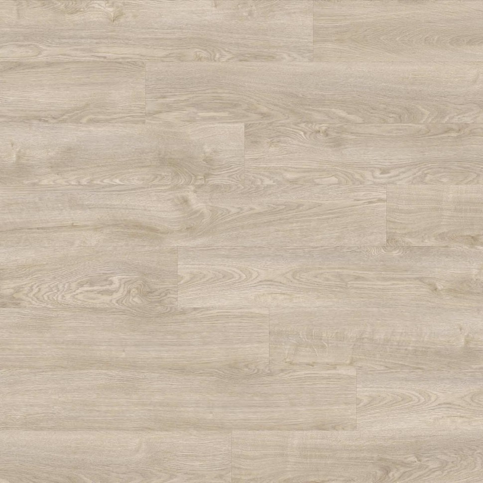 Виниловый ламинат Moduleo Next Acoustic 232 Silverleaf Oak фото 1 &mdash; ПетроПол