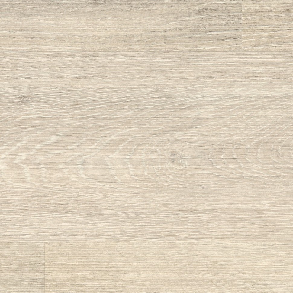 Ламинат Egger 8/32 EPL038 Дуб меловой фото 1 &mdash; ПетроПол