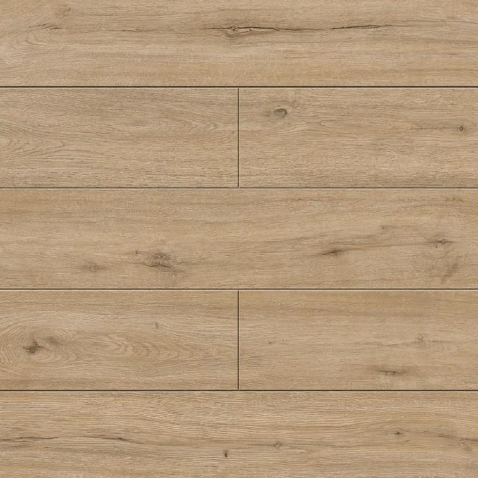 SPC ламинат Alpine Floor Solo Plus ECO 14-601 Ларго фото 1 &mdash; ПетроПол