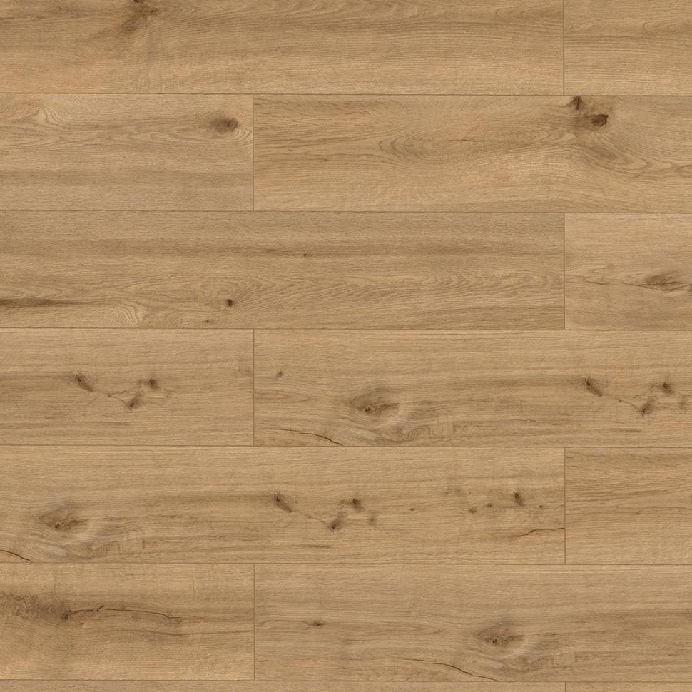 SPC ламинат Alpine Floor Pro Nature 62543 Кальдас фото 1 &mdash; ПетроПол