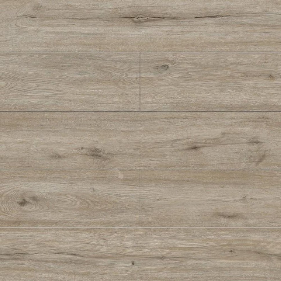 SPC ламинат Alpine Floor Solo Plus ECO 14-801 Прэсто фото 1 &mdash; ПетроПол