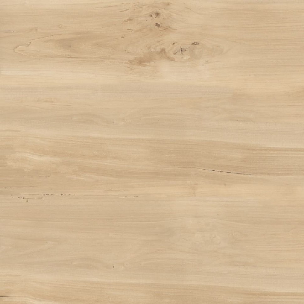 Керамогранит Buono Ceramic Forest FVL4511M Sweet Home Matt (60х120 см) фото 1 &mdash; ПетроПол