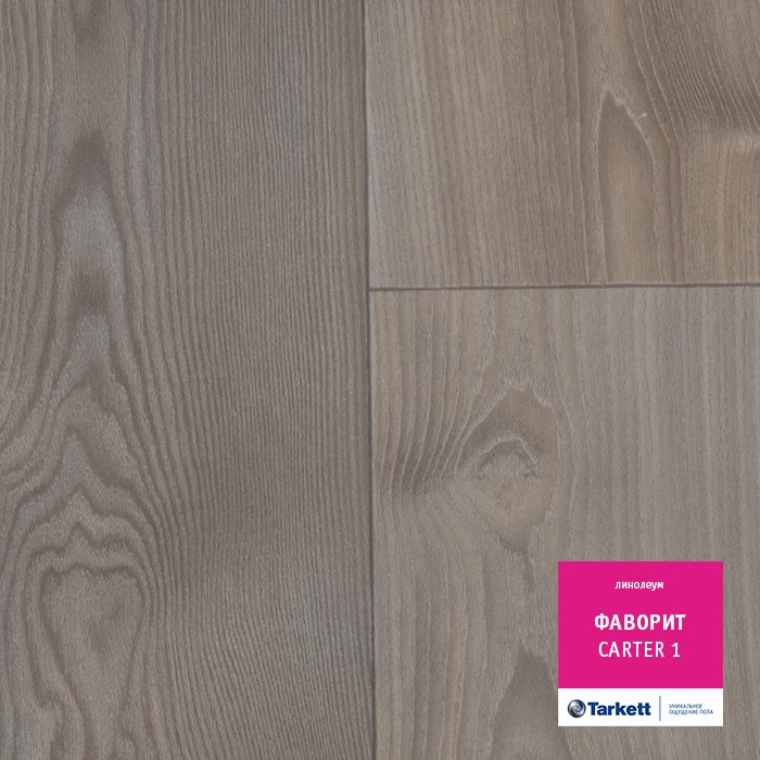 Линолеум Tarkett Фаворит Carter 1 фото 1 &mdash; ПетроПол