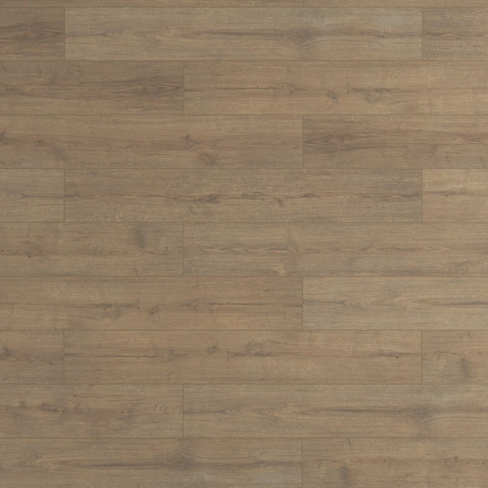 Ламинат Ever Sense EL2190 Дуб Турин фото 1 &mdash; ПетроПол