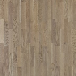 Tarkett Salsa Дуб Графит &mdash; ПетроПол