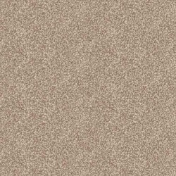 Ковролин Нева Тафт Принт Меланж 17;28 (3м) &mdash; ПетроПол