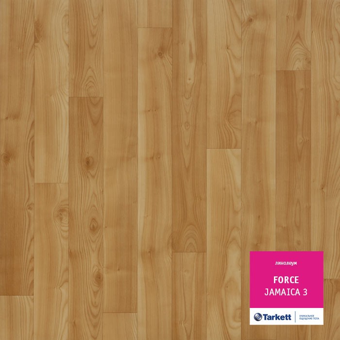 Линолеум Tarkett Force Jamaica 3 фото 1 &mdash; ПетроПол