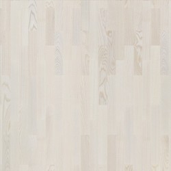 Tarkett Salsa Ясень Арктик &mdash; ПетроПол