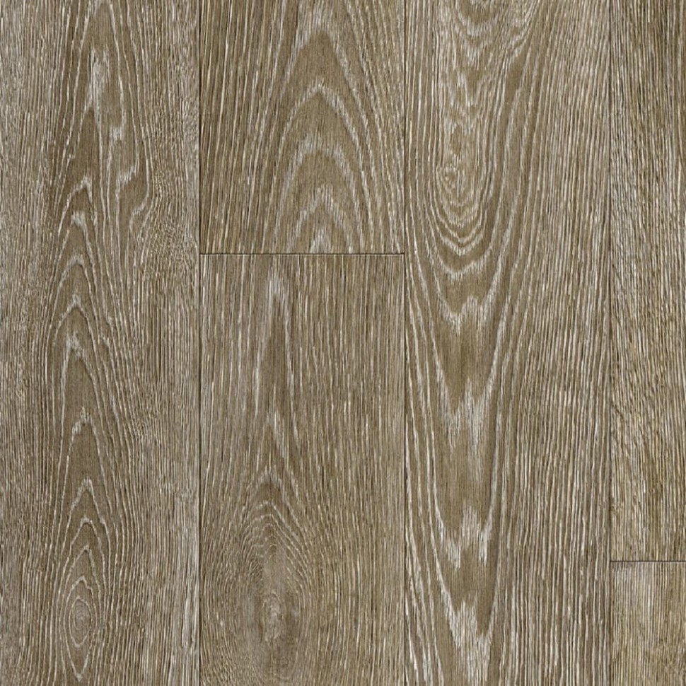 Линолеум Tarkett Phylosophy Blanch 3 фото 1 &mdash; ПетроПол