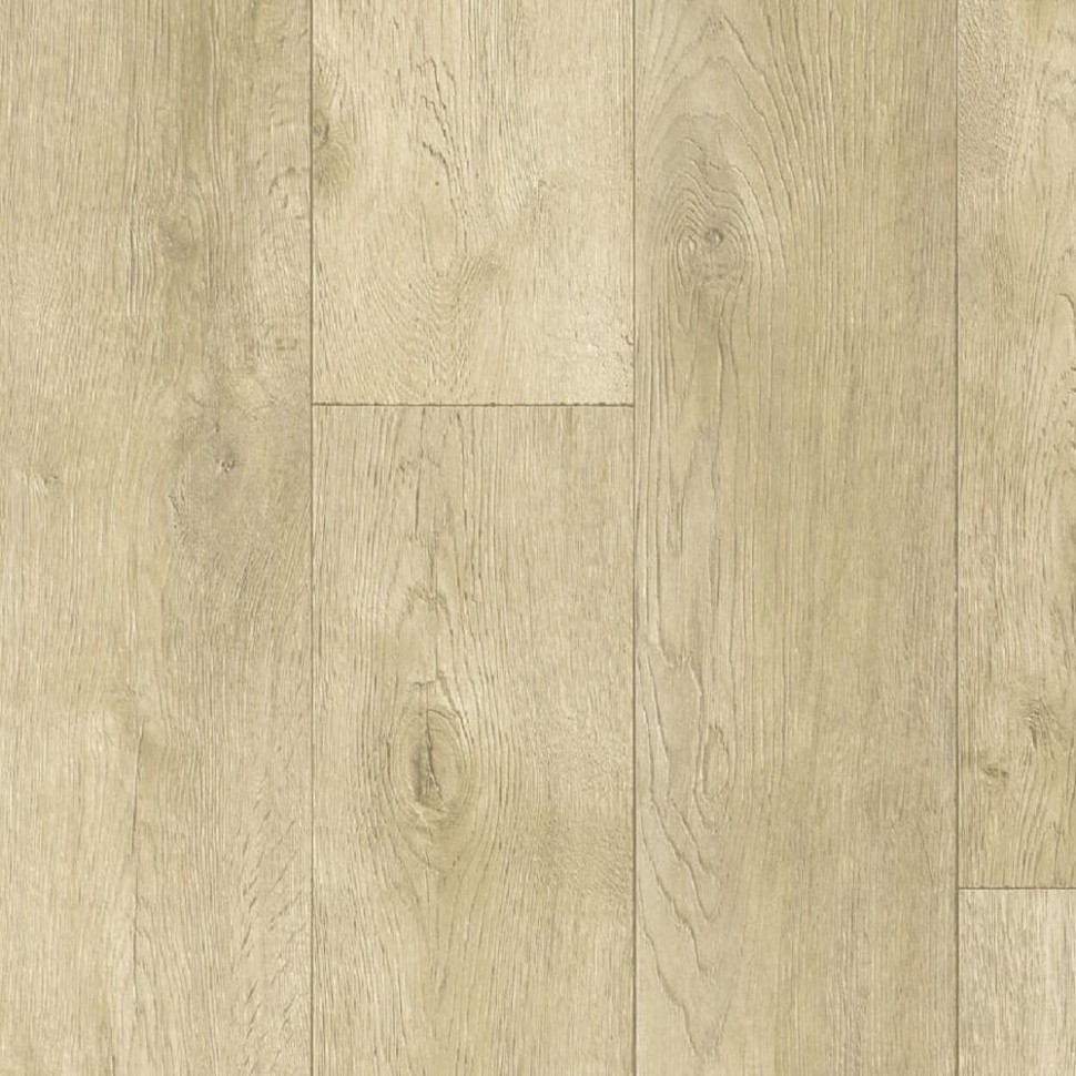 Линолеум Tarkett Phylosophy Event 5 фото 1 &mdash; ПетроПол